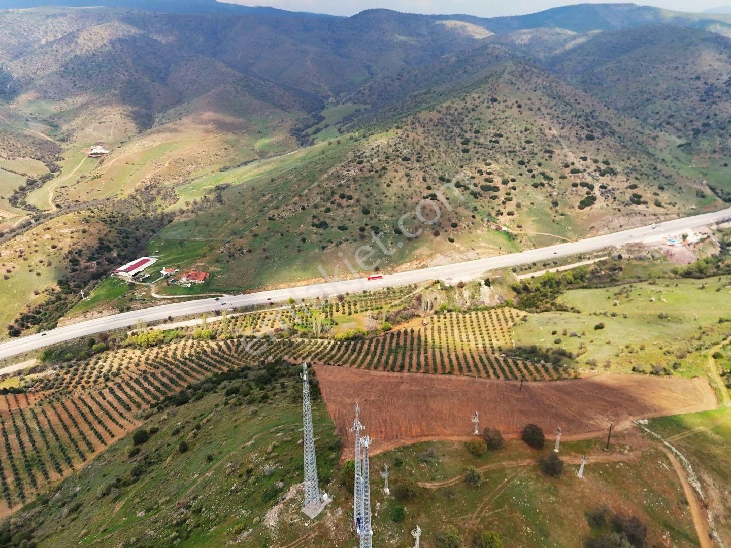 Salihli De Satılık 93517 M2 Zeytinlik Ve Tarla (video) - Görsel 6