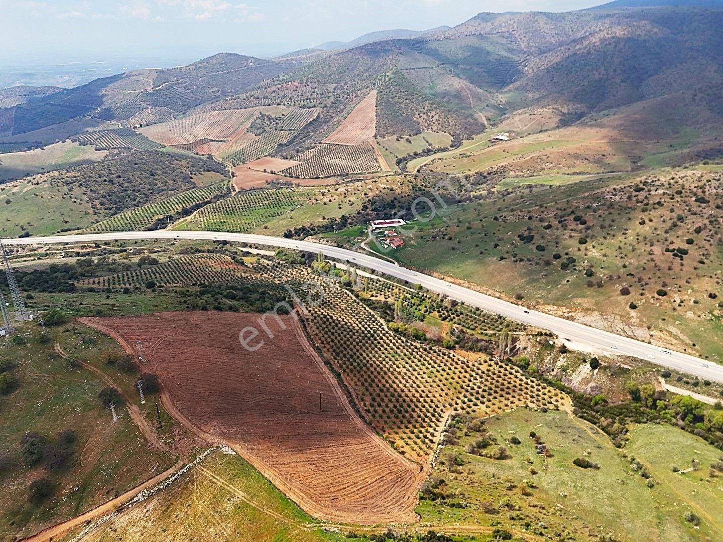 Salihli De Satılık 93517 M2 Zeytinlik Ve Tarla (video) - Görsel 4