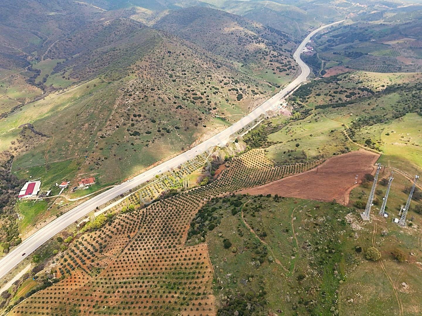 Salihli De Satılık 93517 M2 Zeytinlik Ve Tarla (video) - Görsel 12