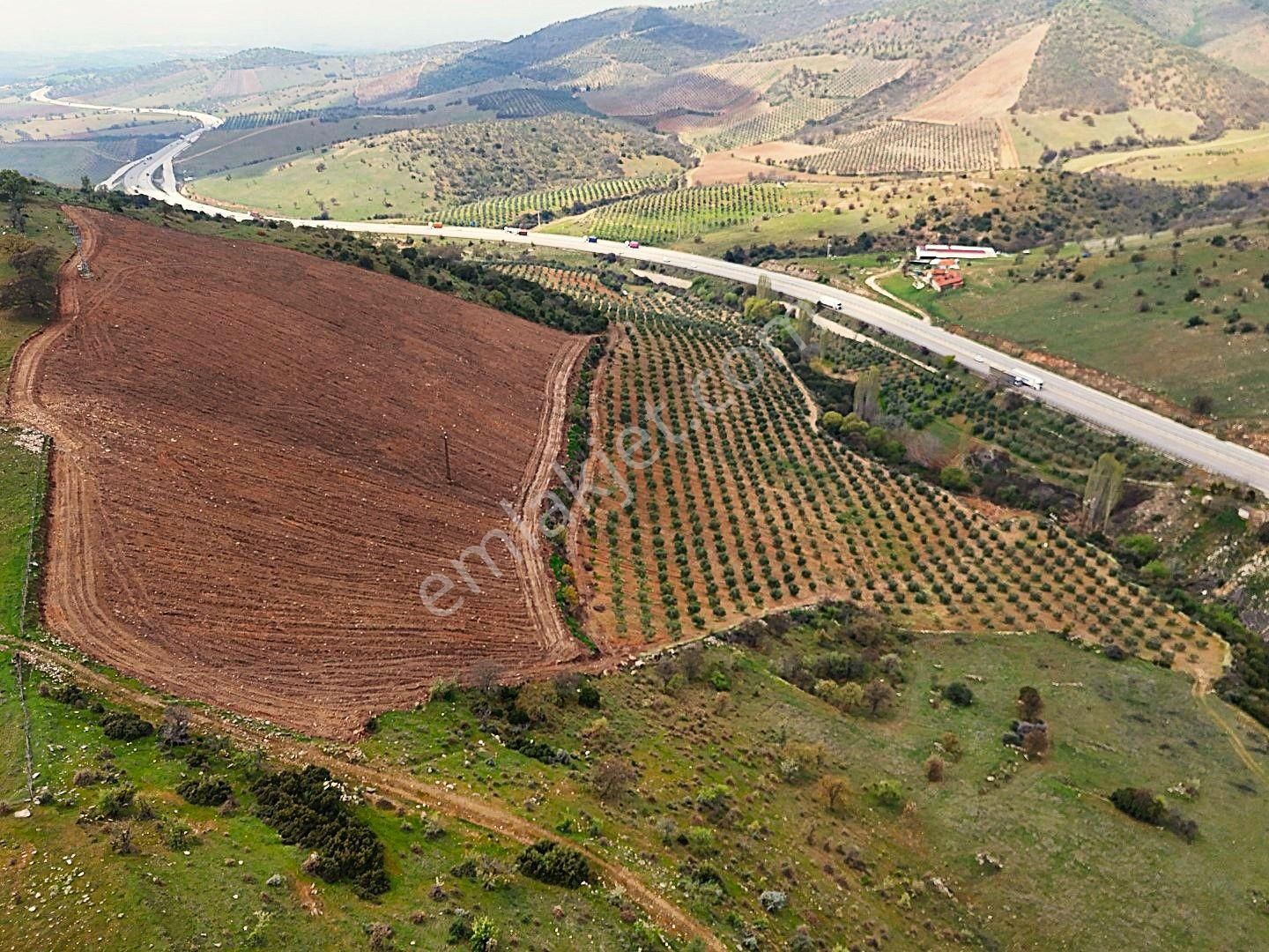 Salihli De Satılık 93517 M2 Zeytinlik Ve Tarla (video) - Görsel 14