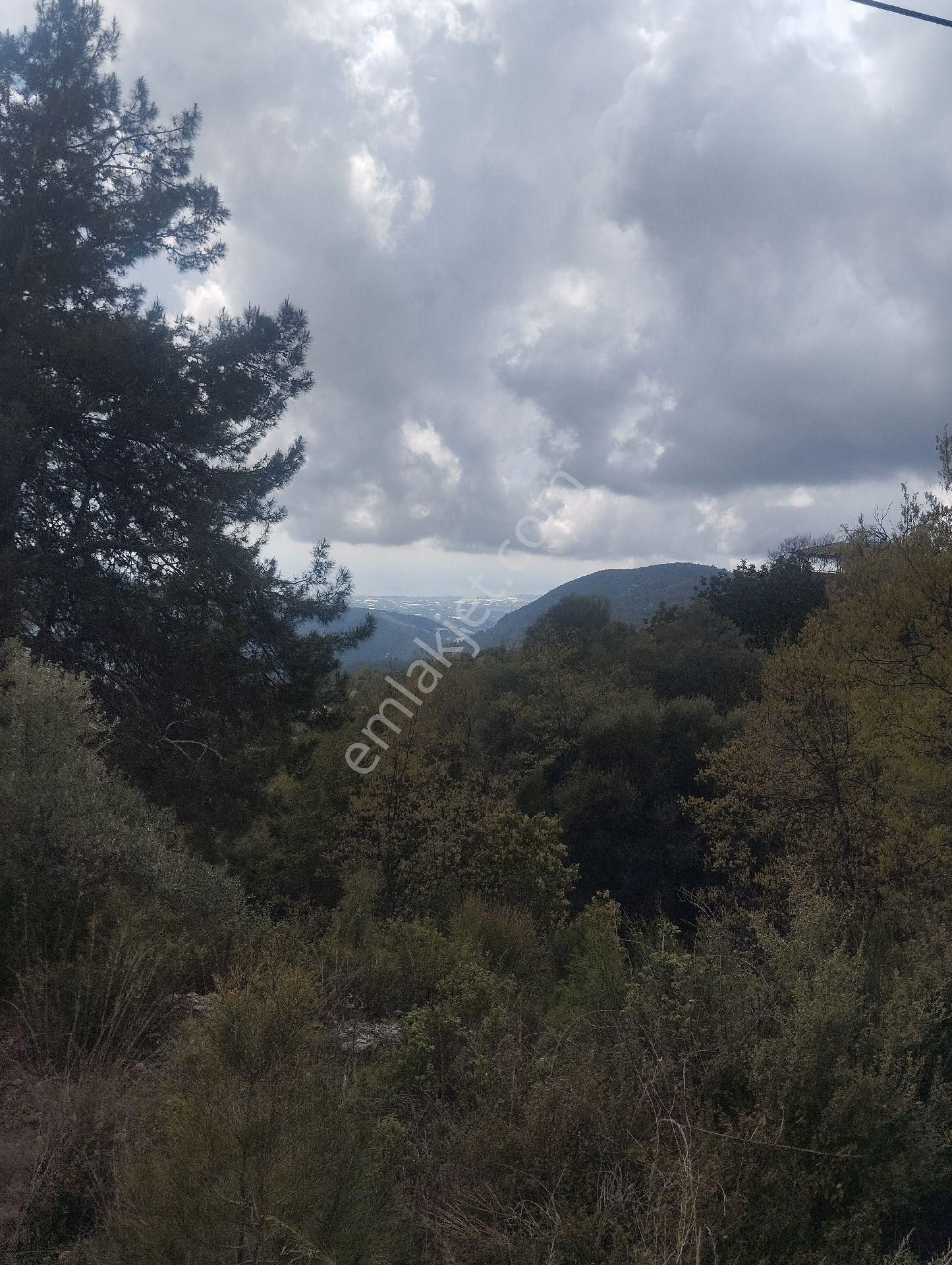 Yerleşim Alanıiçinde Manzaralı - Görsel 16