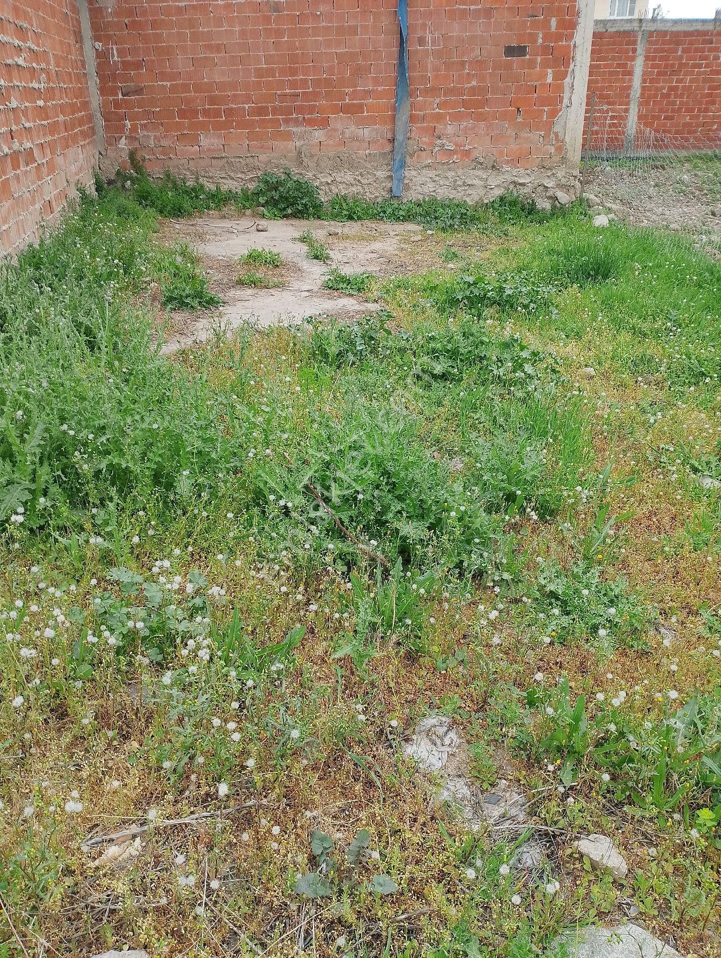 Bergama Ayazkent Mahallesinde Satılık Arsa - Görsel 5