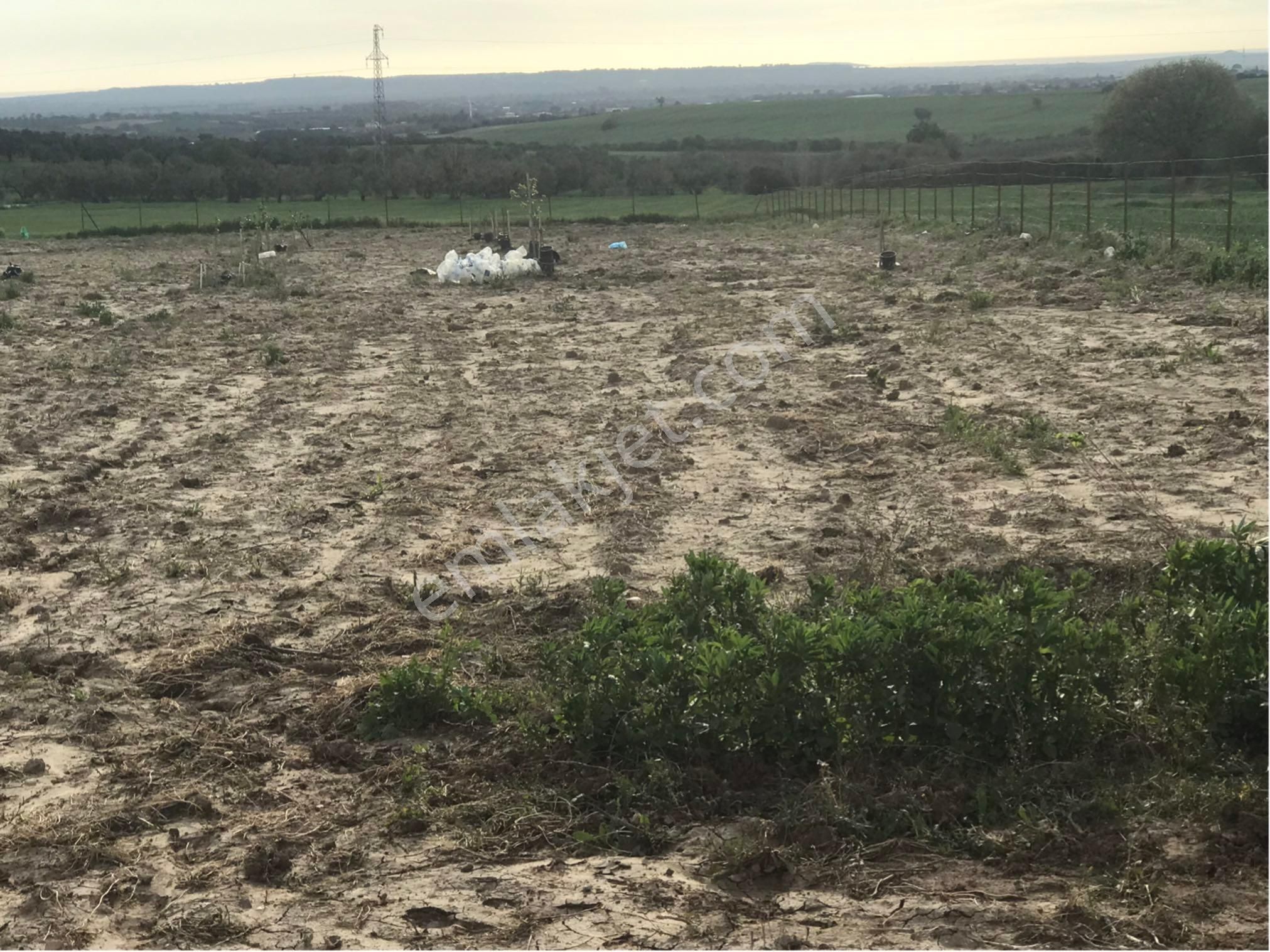 Merkeze 20 Dk. Mesafede, İzmir Asfaltına Çok Yakın Hobi Bahçesi Çiftlik Arazisi.. - Görsel 23
