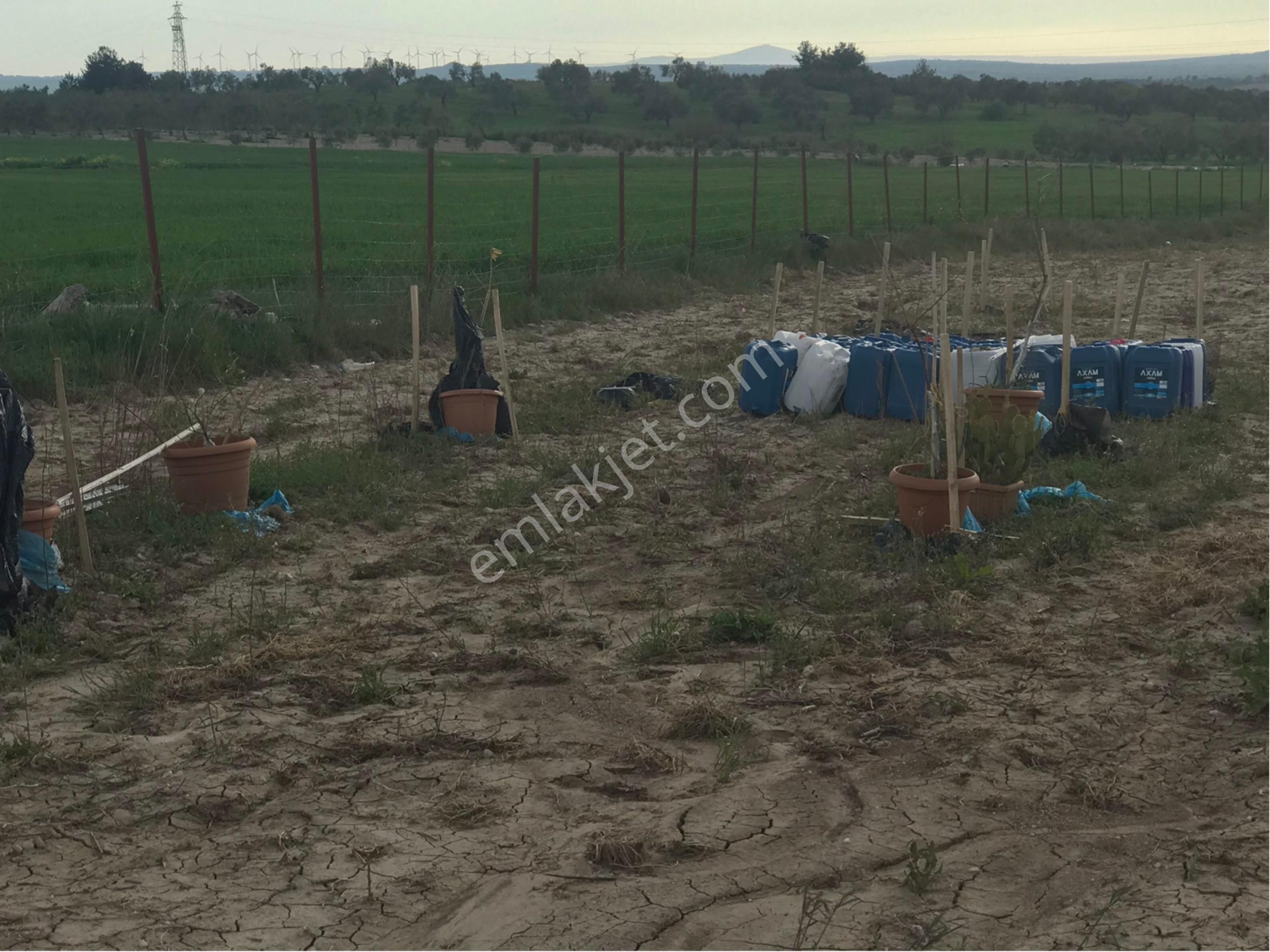 Merkeze 20 Dk. Mesafede, İzmir Asfaltına Çok Yakın Hobi Bahçesi Çiftlik Arazisi.. - Görsel 20