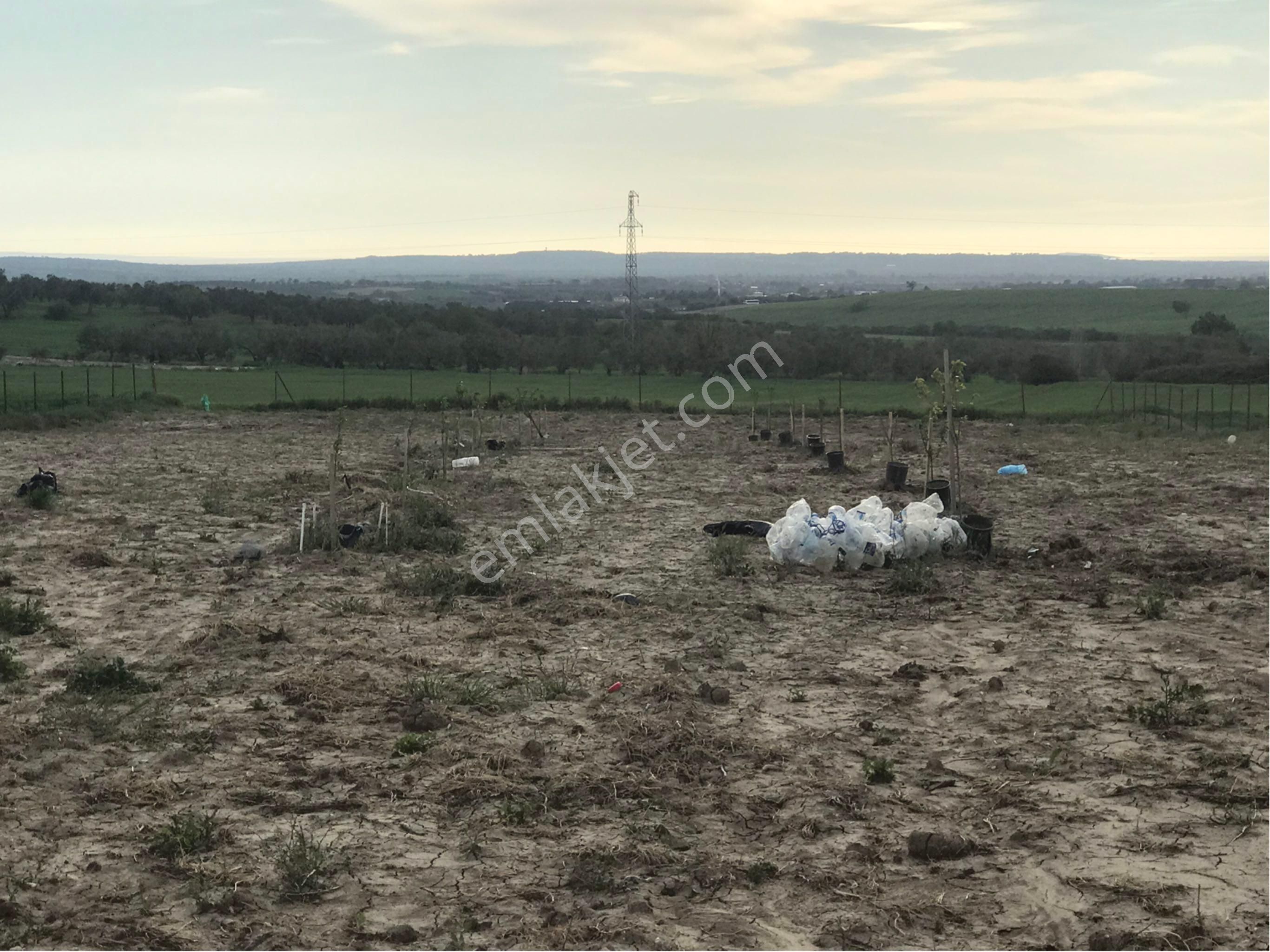 Merkeze 20 Dk. Mesafede, İzmir Asfaltına Çok Yakın Hobi Bahçesi Çiftlik Arazisi.. - Görsel 21
