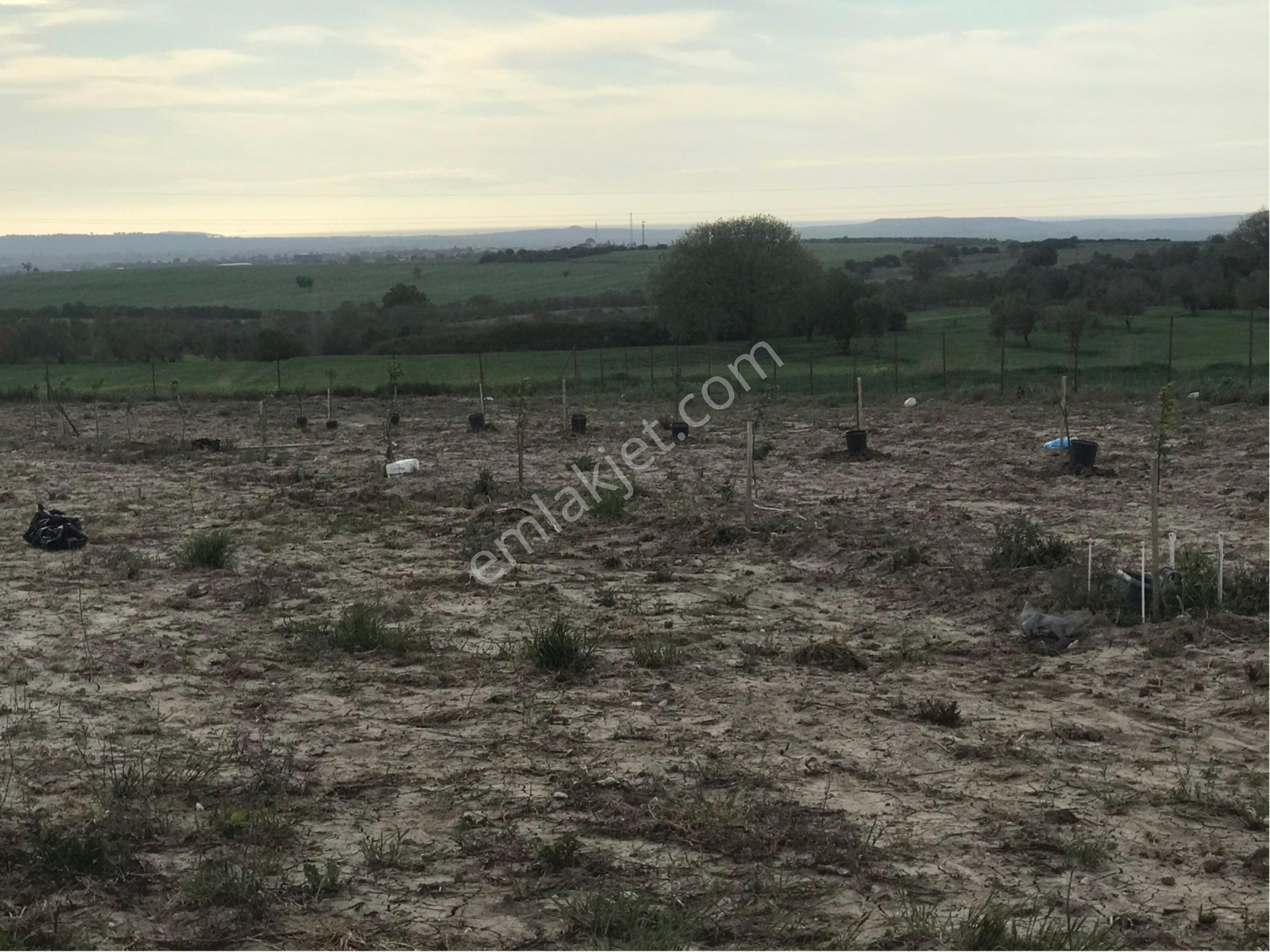 Merkeze 20 Dk. Mesafede, İzmir Asfaltına Çok Yakın Hobi Bahçesi Çiftlik Arazisi.. - Görsel 16
