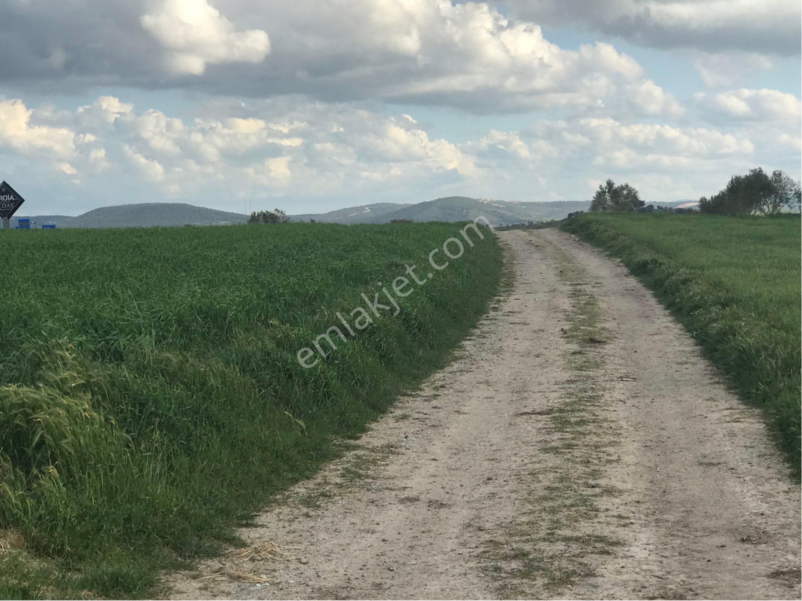 Merkeze 20 Dk. Mesafede, İzmir Asfaltına Çok Yakın Hobi Bahçesi Çiftlik Arazisi.. - Görsel 7