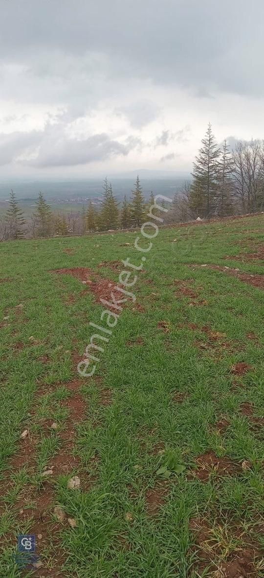 Felahiye Silahtar Mahallesinde Yatırımlık Tarla