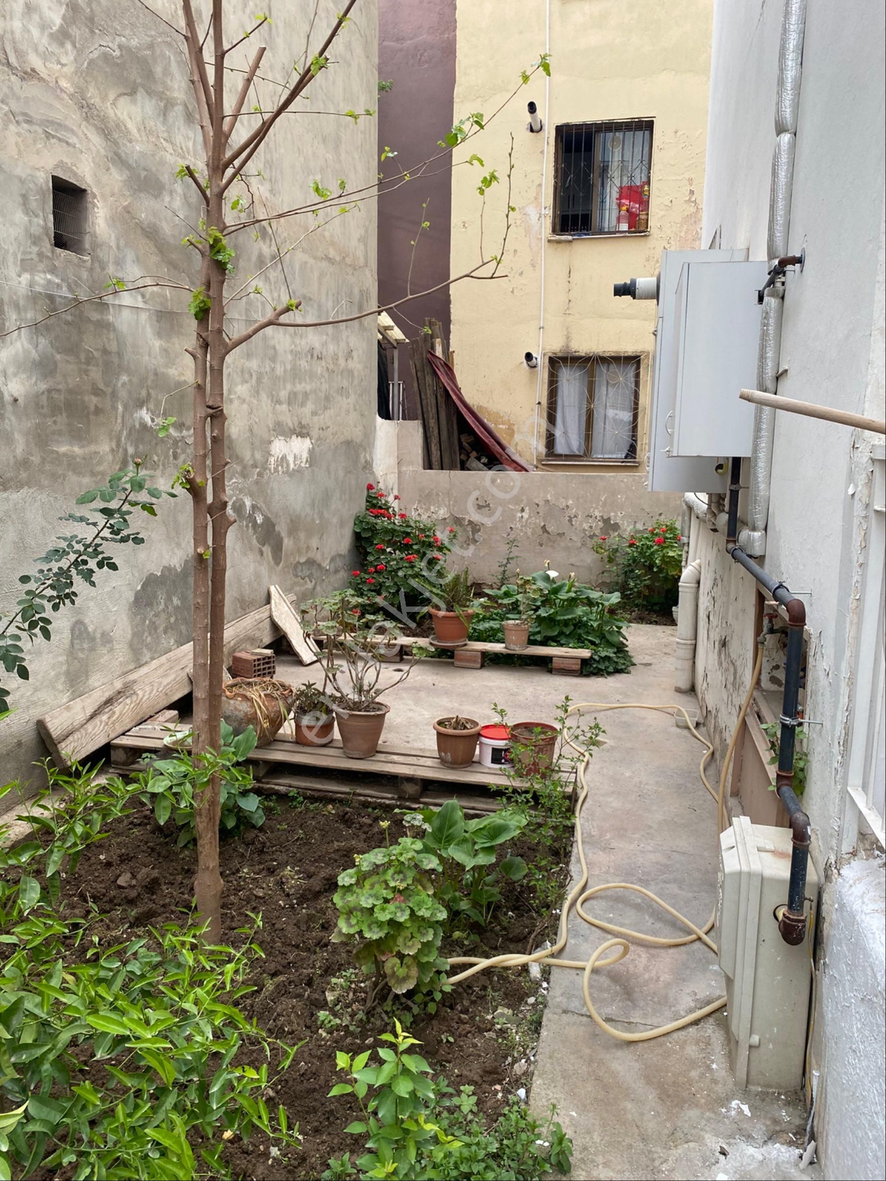 Doğanların En Güzel Yerinde Müstakil Dublex Daire - Görsel 2