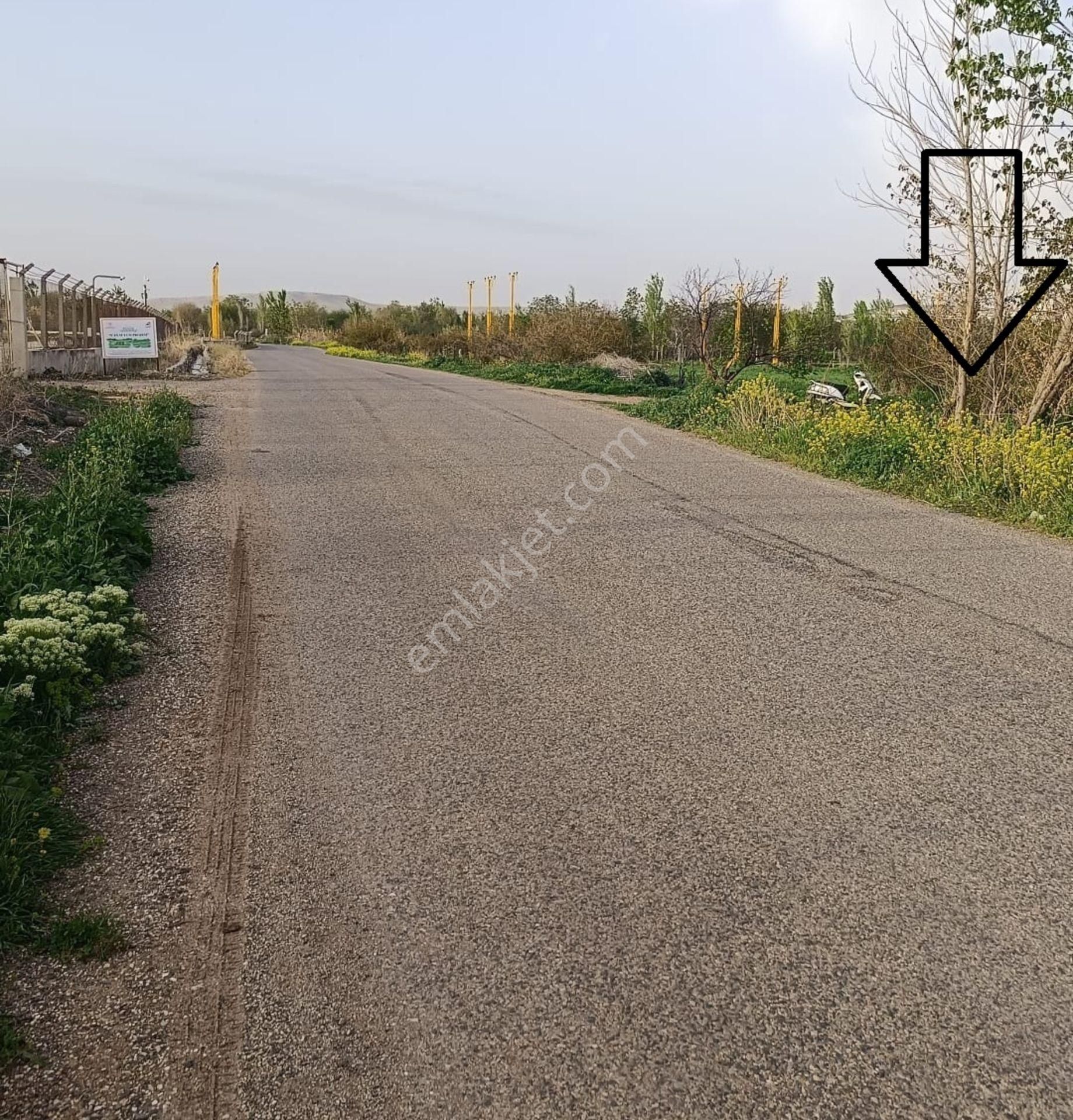 Asfalta Sıfır Oğuzeli Kurtuluşta 905 M2 Tek Tapu Hobi Bahçesi