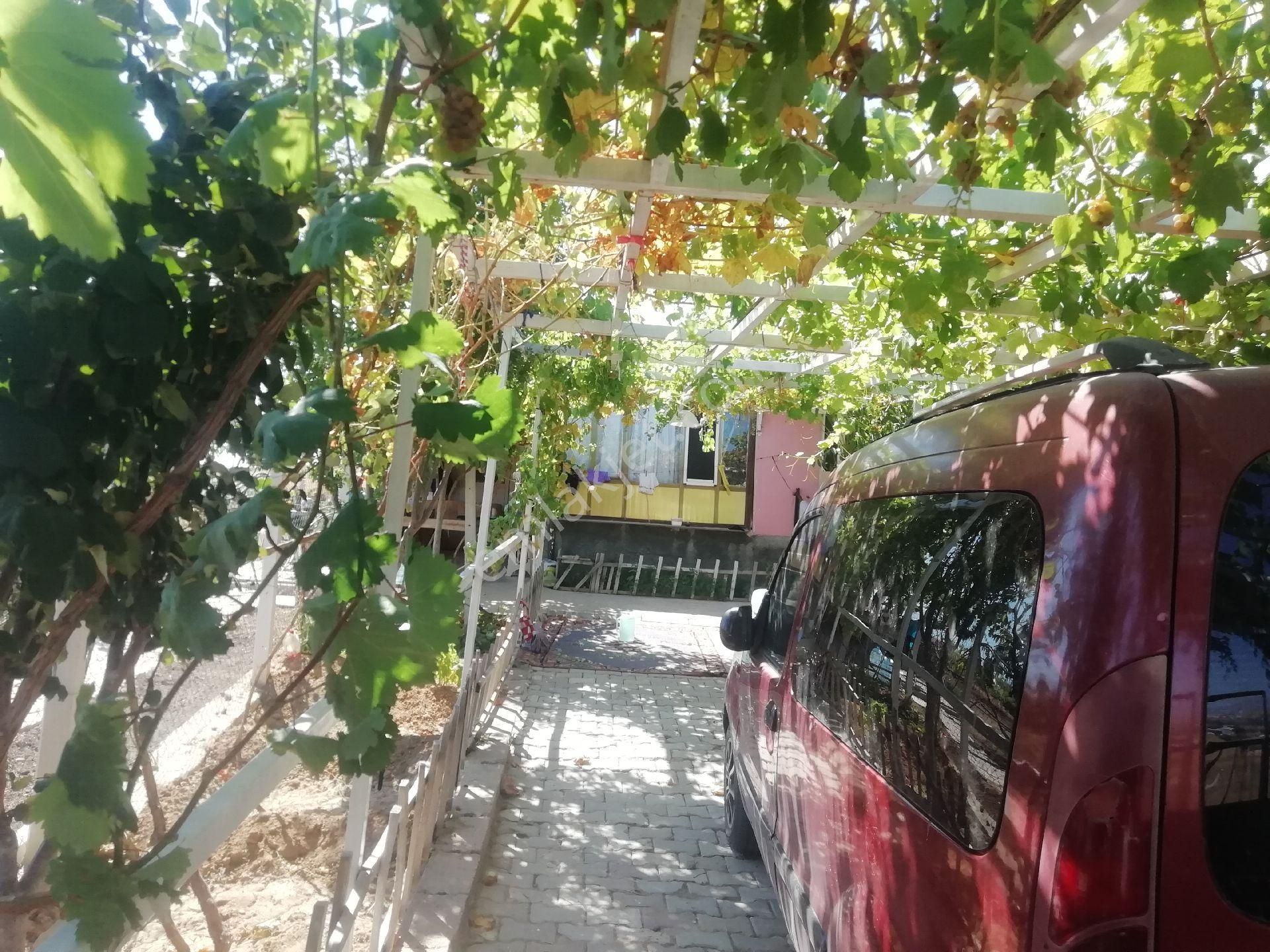 Arpalık Çukuru Kayseri Yoluna Yakın - Görsel 2