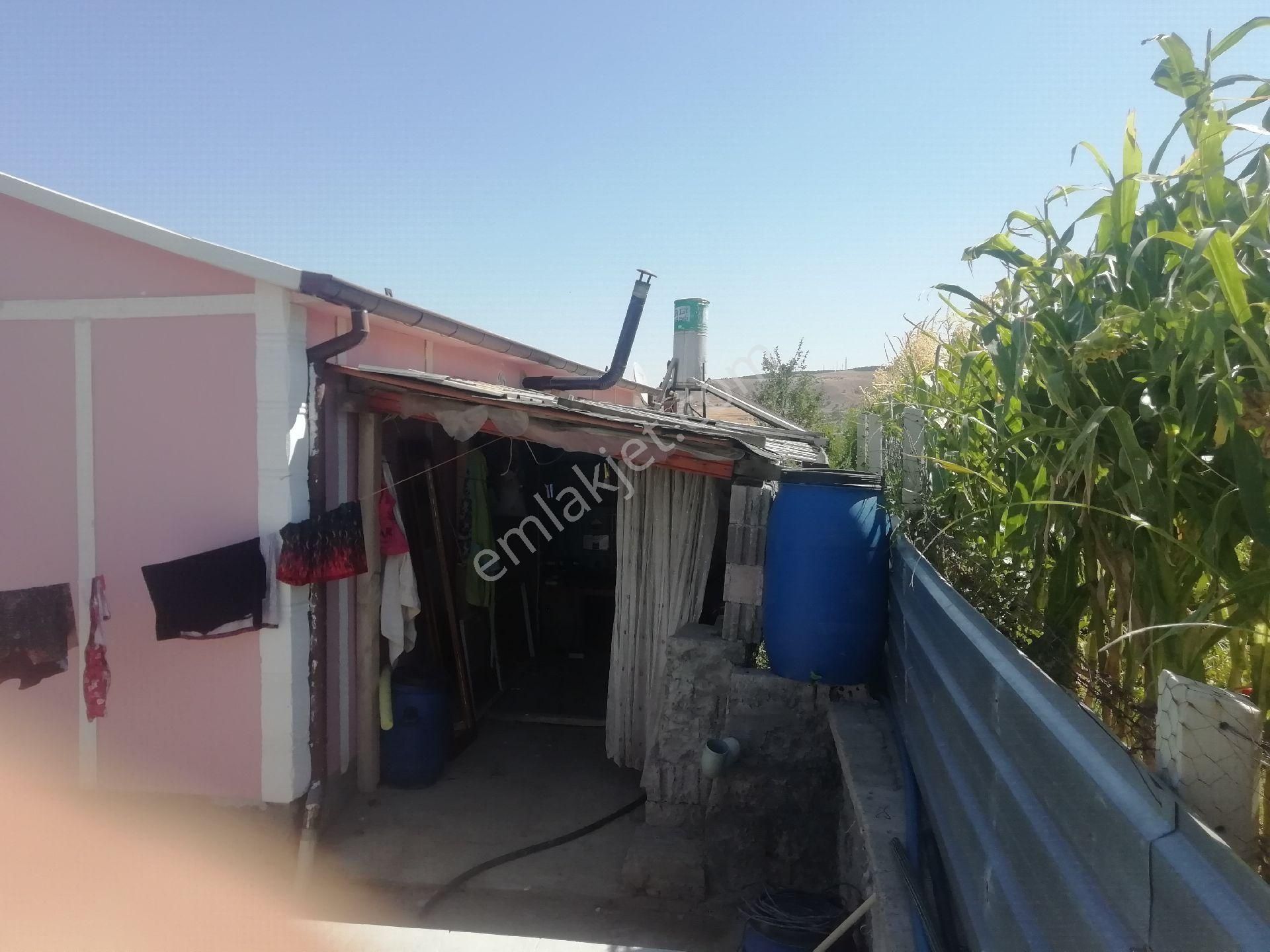 Arpalık Çukuru Kayseri Yoluna Yakın - Görsel 12