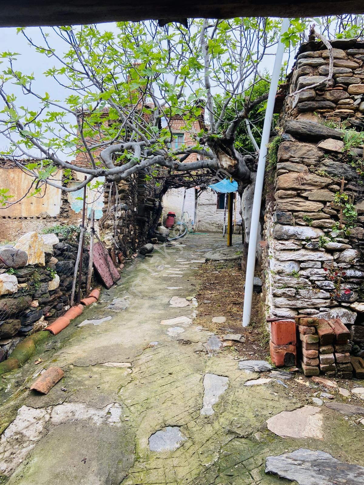 Tire Doğuş Emlaktan Yusuflu Köyünde Harika Müstakil Ev - Görsel 3