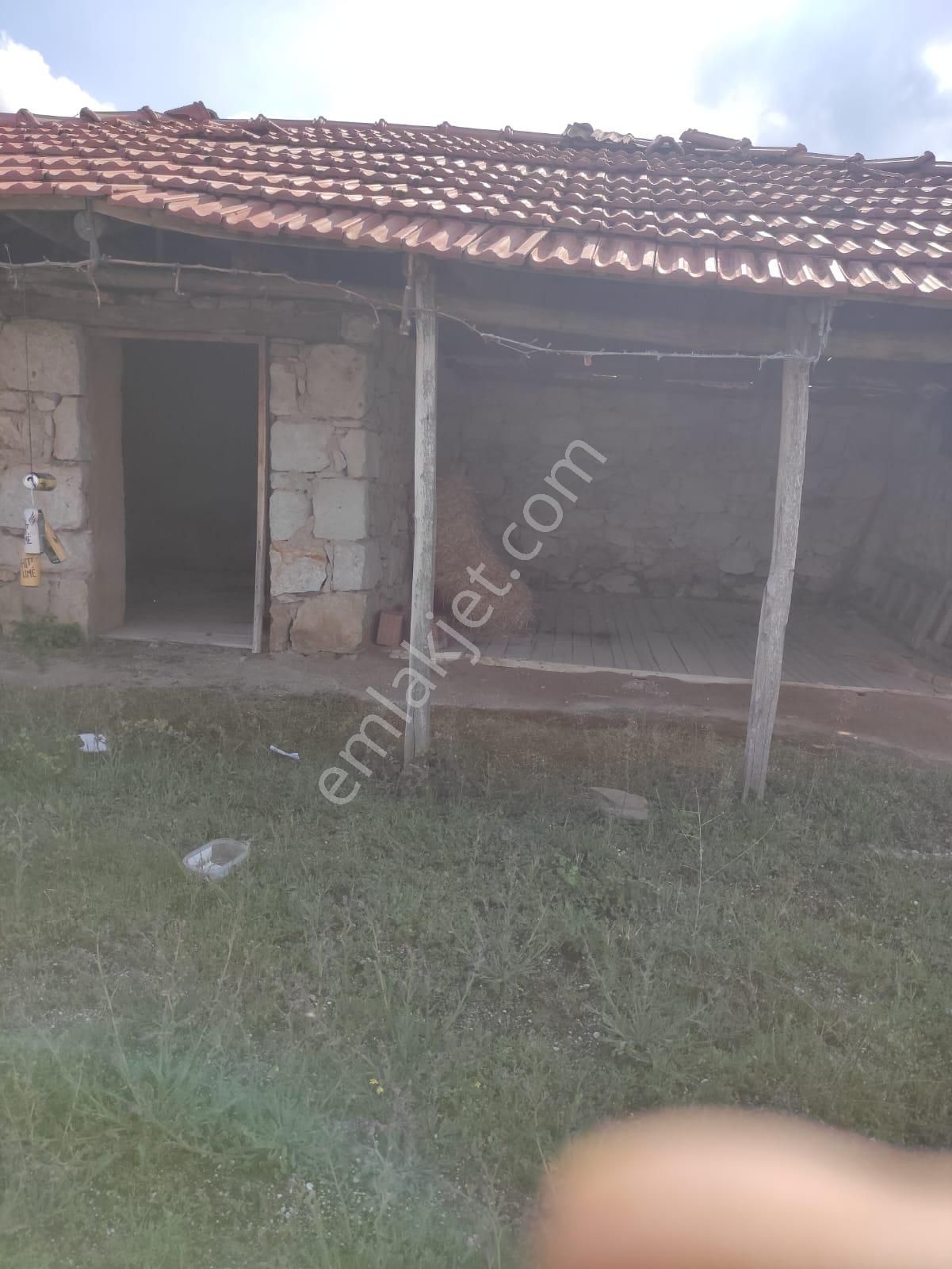 Yuvam Gayrimenkul'den Satılık Manisa Demirci Durhasan Mah. 9 Dönüm Zeytinlik - Görsel 26