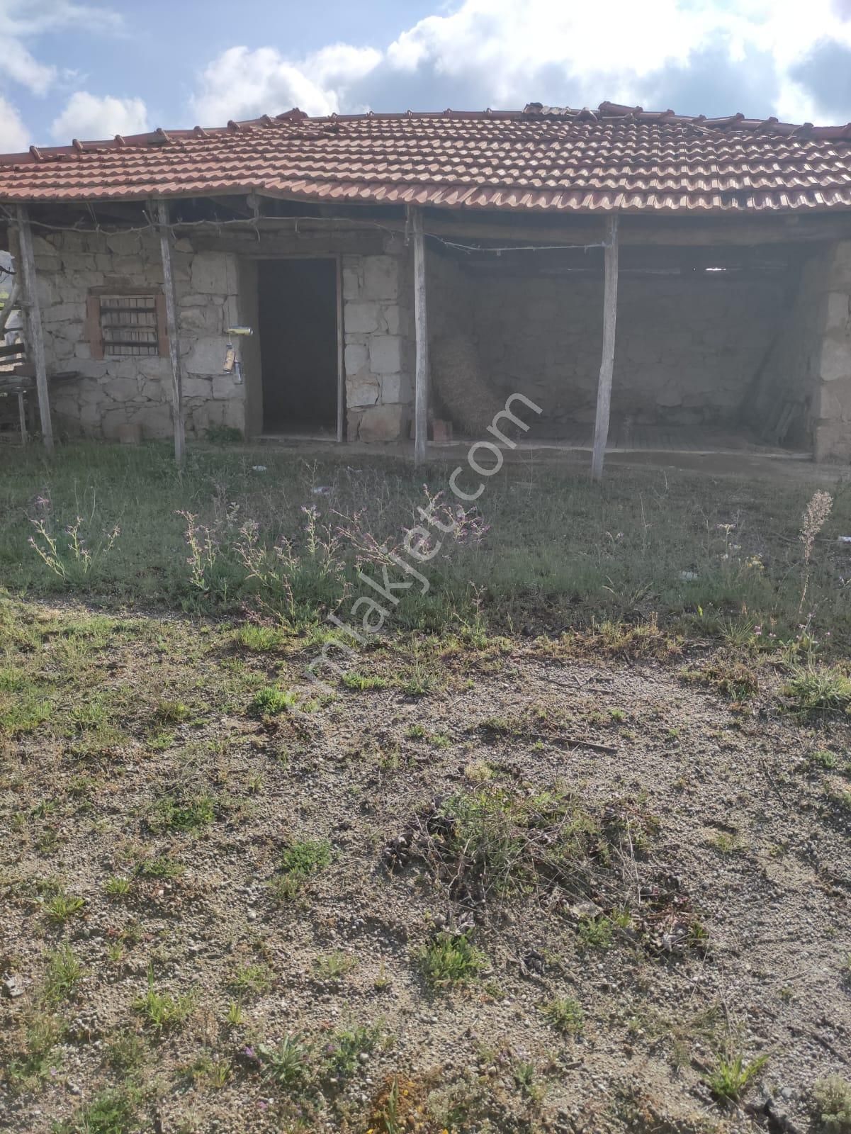 Yuvam Gayrimenkul'den Satılık Manisa Demirci Durhasan Mah. 9 Dönüm Zeytinlik - Görsel 15