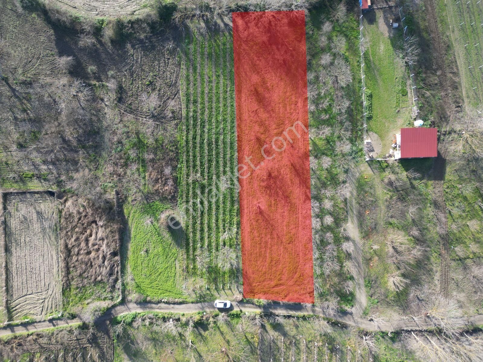 Kirazlı Köy Merkezi'n De Satılık Tarla - Görsel 10