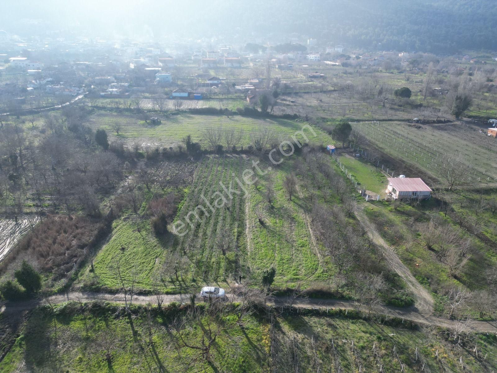 Kirazlı Köy Merkezi'n De Satılık Tarla - Görsel 5