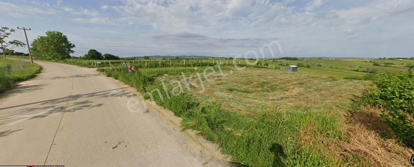 Kocaeli Kandıra Karadivan'da Satılık Tarım Arazisi - Görsel 2