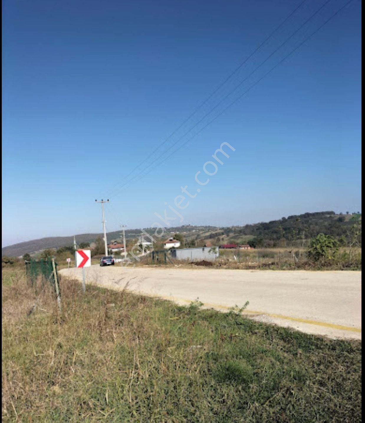 Kocaeli Kandıra Karadivan'da Satılık Tarım Arazisi - Görsel 3