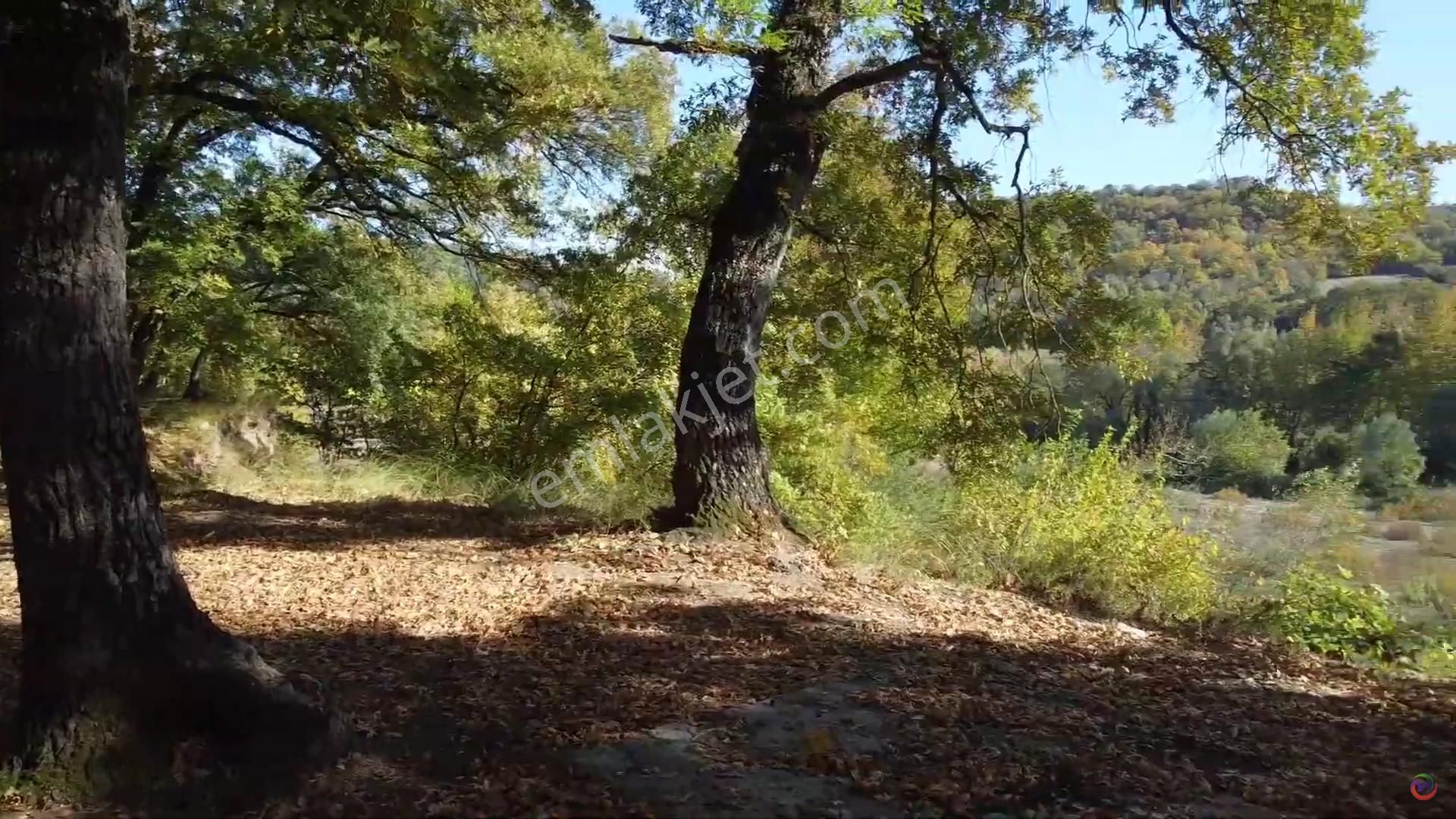 Bursa Mustafakemalpaşa Müstakil Ev Tapu Sahibi Perta Emlak Ümit Tahmaz - Görsel 32