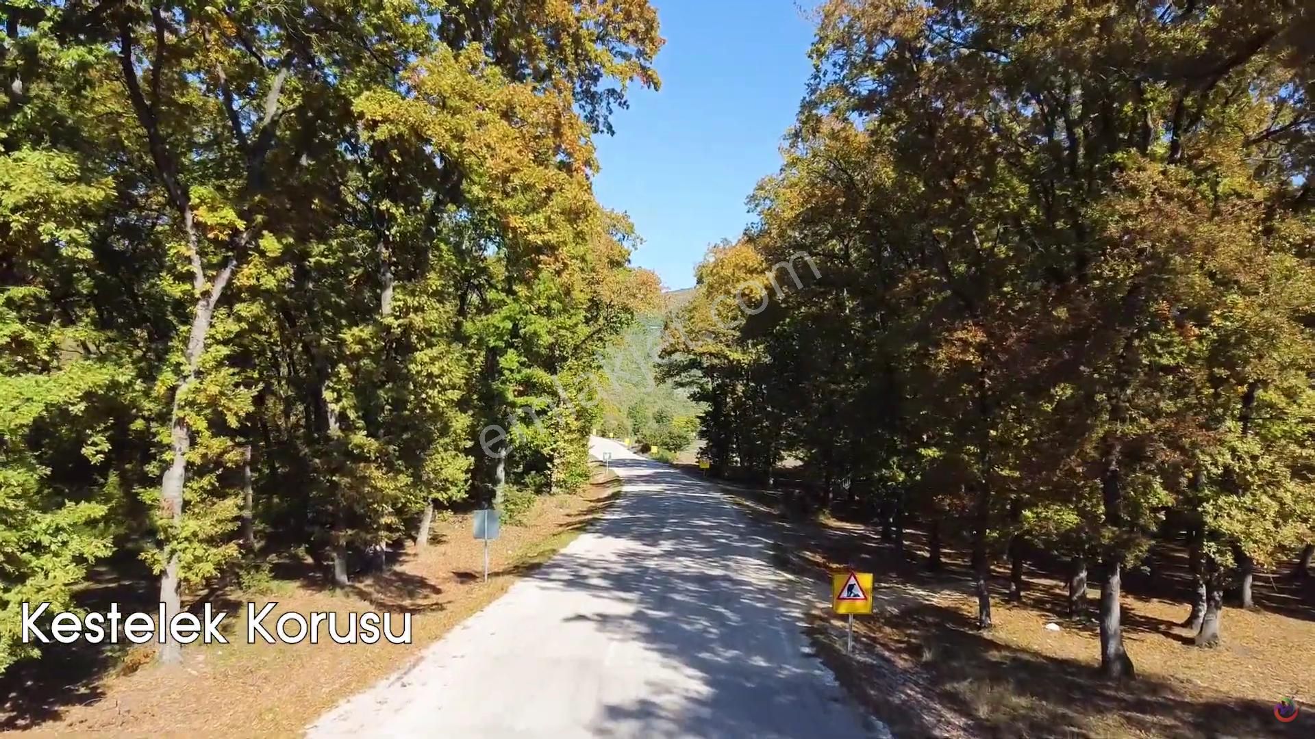 Bursa Mustafakemalpaşa Müstakil Ev Tapu Sahibi Perta Emlak Ümit Tahmaz - Görsel 31