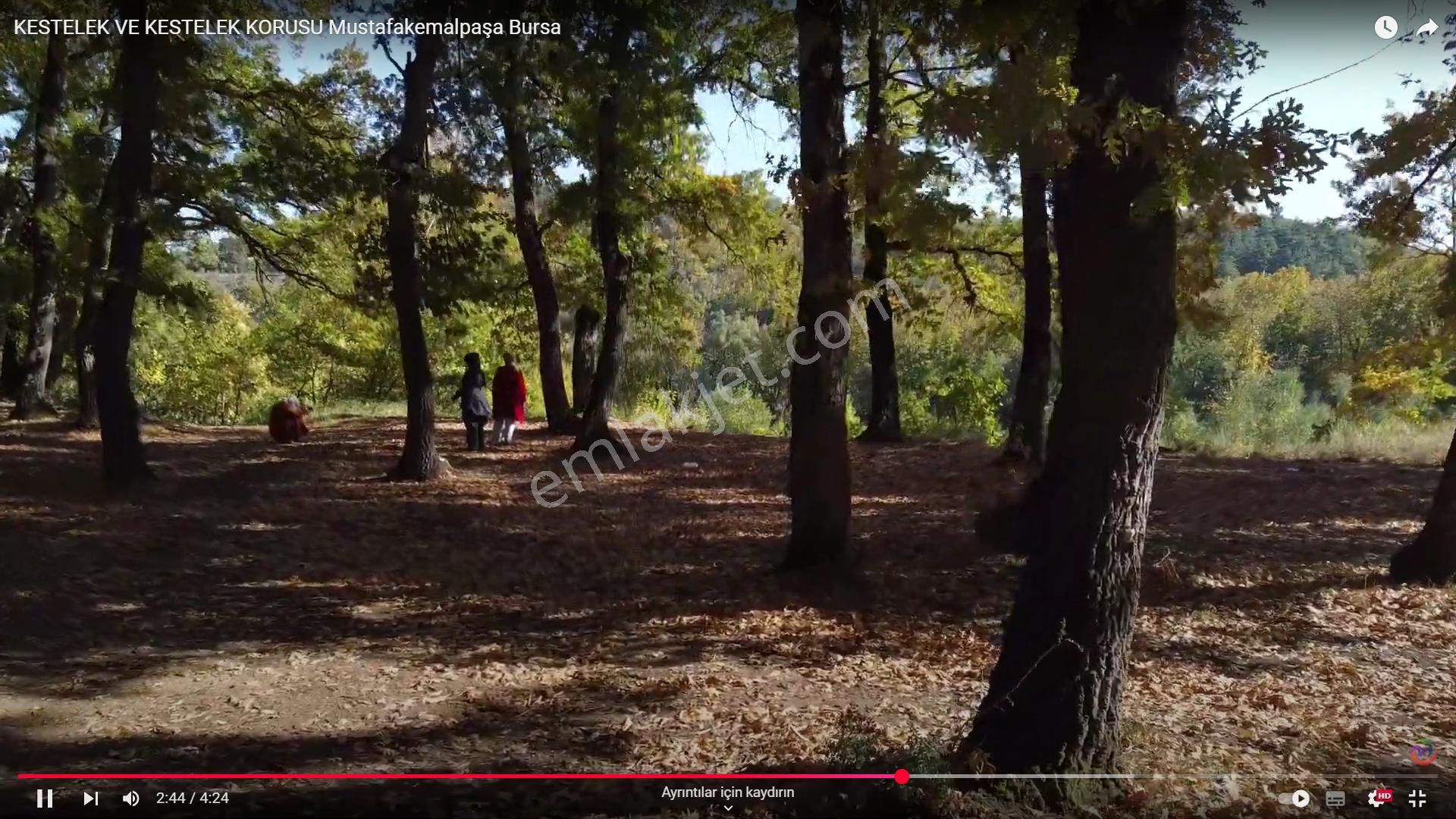 Bursa Mustafakemalpaşa Müstakil Ev Tapu Sahibi Perta Emlak Ümit Tahmaz - Görsel 33