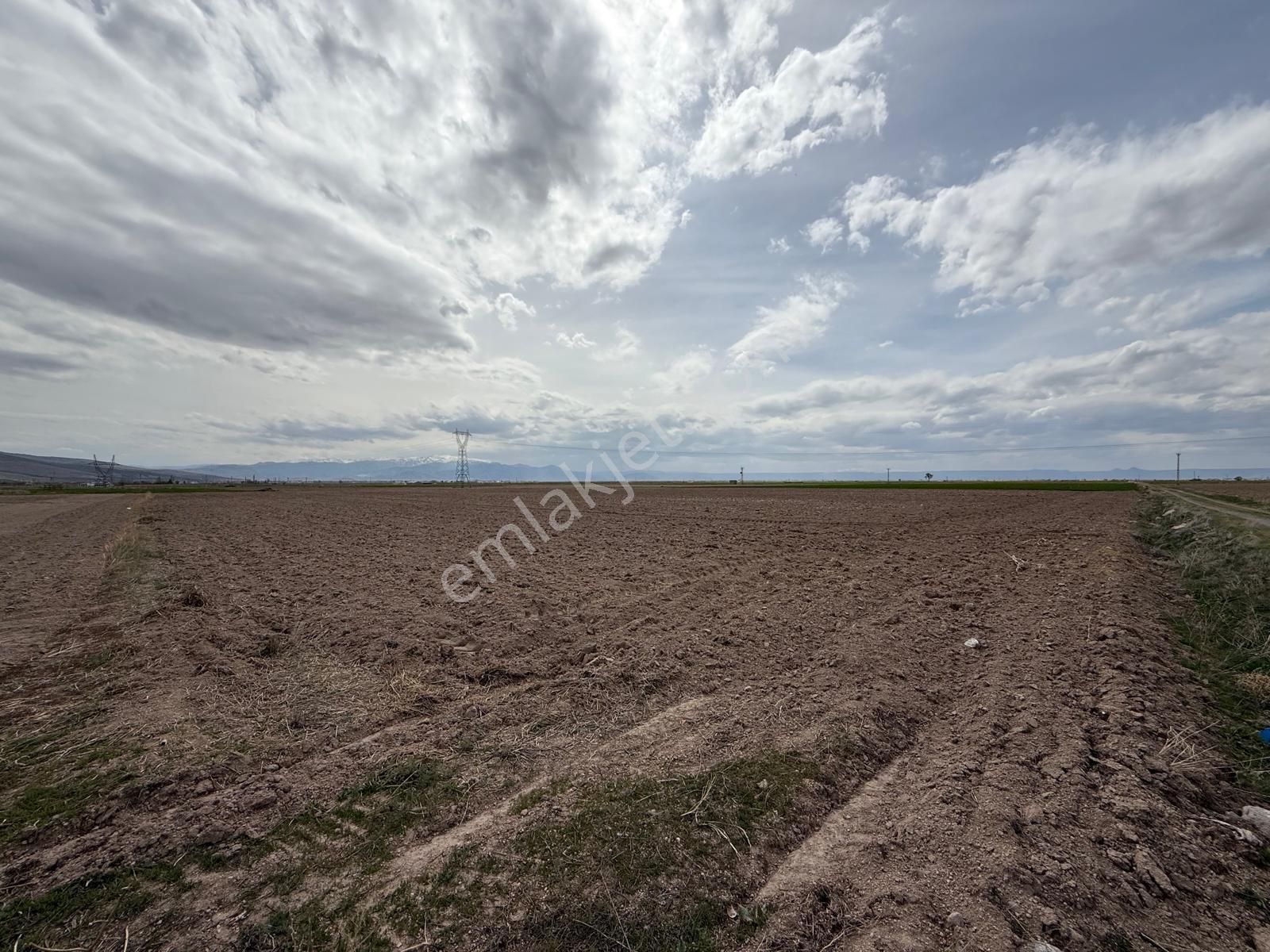 Öz Gaye Emlaktan Develi Sindelhöyük Mahallesinde Satılık Tarla