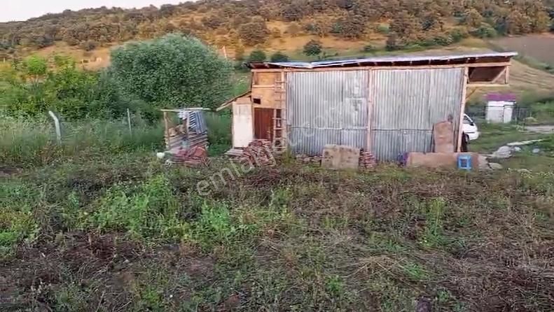 Yenişehir Akbıyık Köyünde Satılık Tarla Ve Bağ Evi - Görsel 3