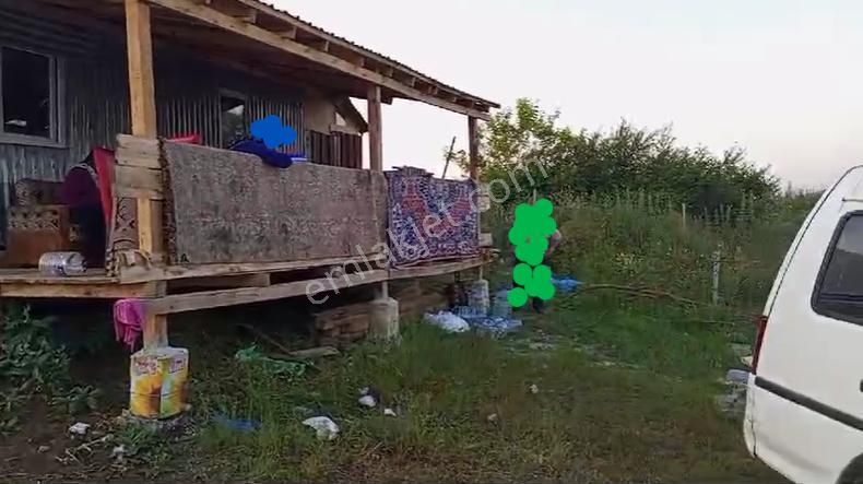 Yenişehir Akbıyık Köyünde Satılık Tarla Ve Bağ Evi - Görsel 9