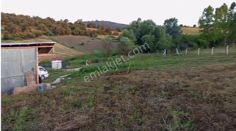 Yenişehir Akbıyık Köyünde Satılık Tarla Ve Bağ Evi - Görsel 4