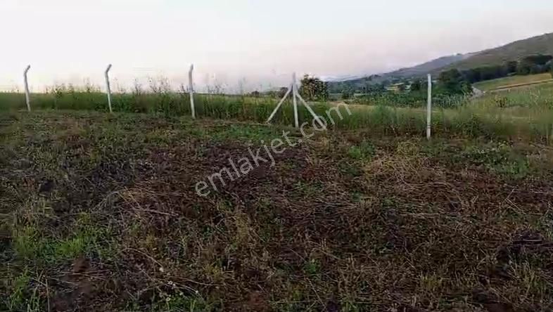 Yenişehir Akbıyık Köyünde Satılık Tarla Ve Bağ Evi - Görsel 5