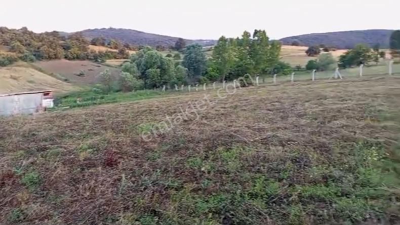 Yenişehir Akbıyık Köyünde Satılık Tarla Ve Bağ Evi - Görsel 6