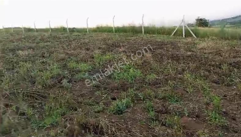 Yenişehir Akbıyık Köyünde Satılık Tarla Ve Bağ Evi - Görsel 2