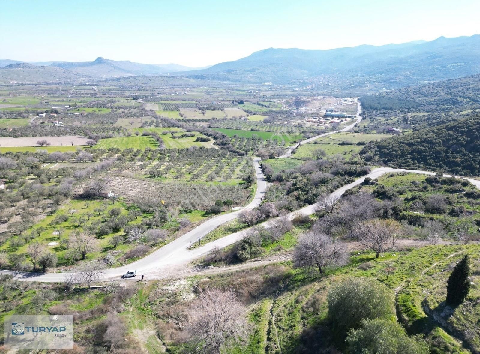 Güzelhisar'da Satılık Zeytinlik - Görsel 9