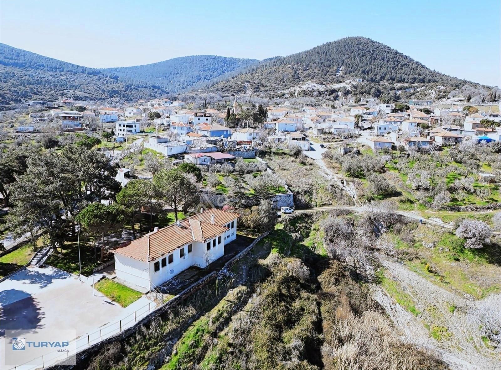 Güzelhisar'da Satılık Zeytinlik - Görsel 12