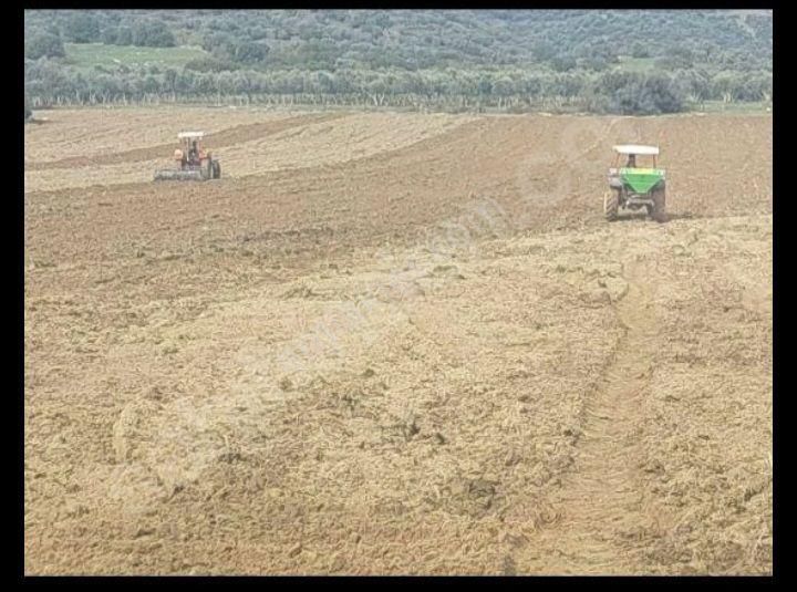 Aydın Çine Saraçlarda 26 Dönüm Satılık Tarla
