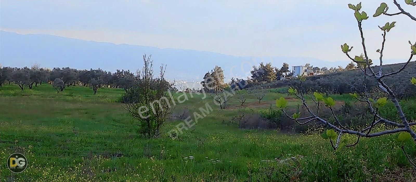 Bursa Osmangazi Gündoğdu Köyünde Bursa Manzaralı Yok Artık Tarla - Görsel 6