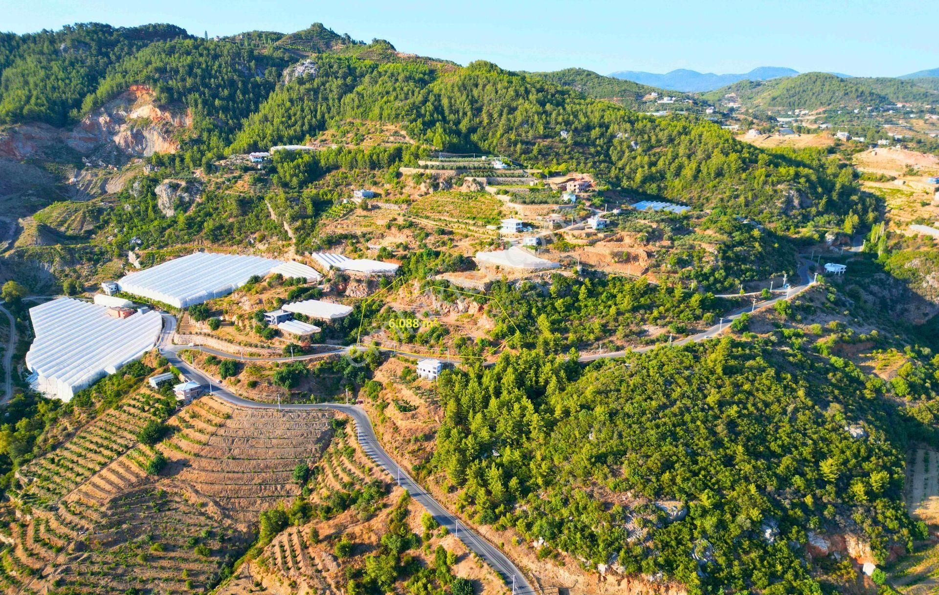 Satılık 6.088/2.500 M² Tarla Hissesi, Alanya-toslak - Görsel 12