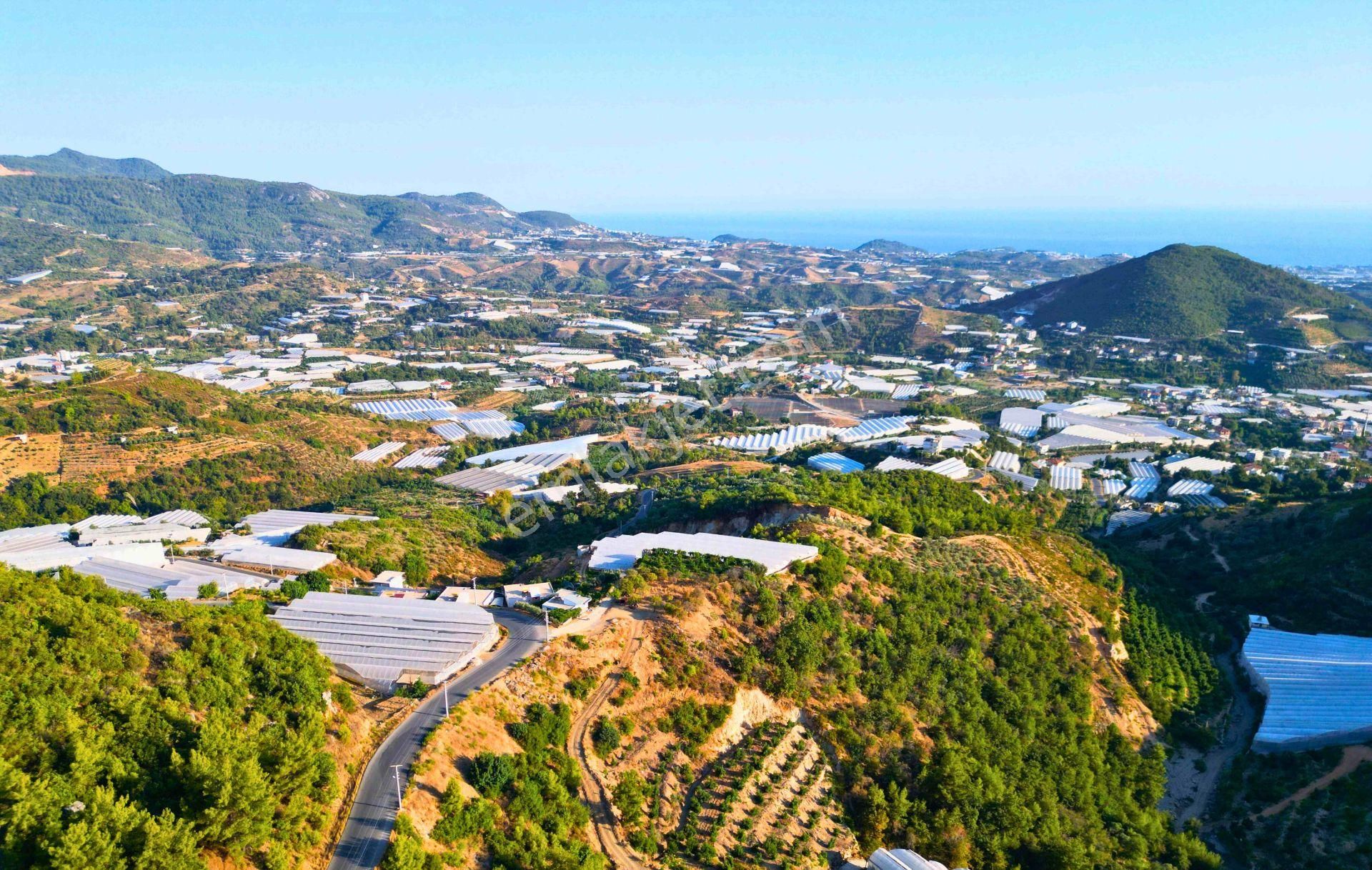 Satılık 6.088/2.500 M² Tarla Hissesi, Alanya-toslak - Görsel 15