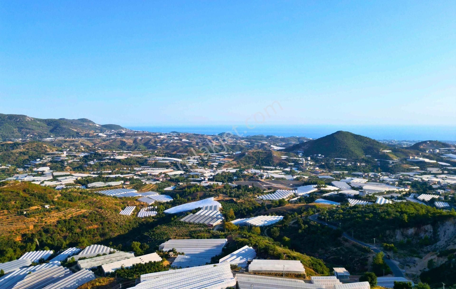 Satılık 6.088/2.500 M² Tarla Hissesi, Alanya-toslak - Görsel 13