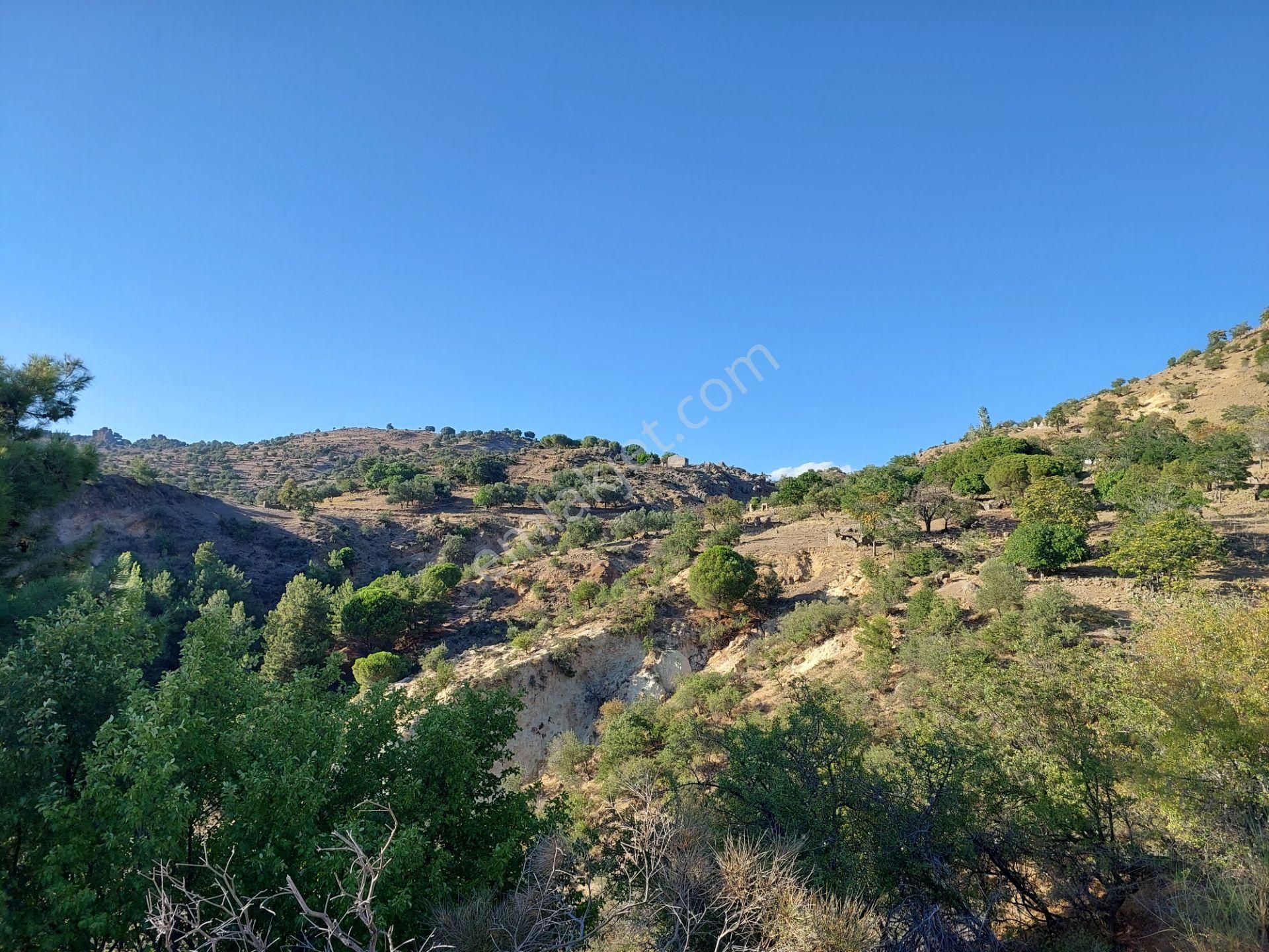 Dikili Eskikıratlıda Satılık Köyiçi 178m2 Arsa Nitelik Arsa - Görsel 3