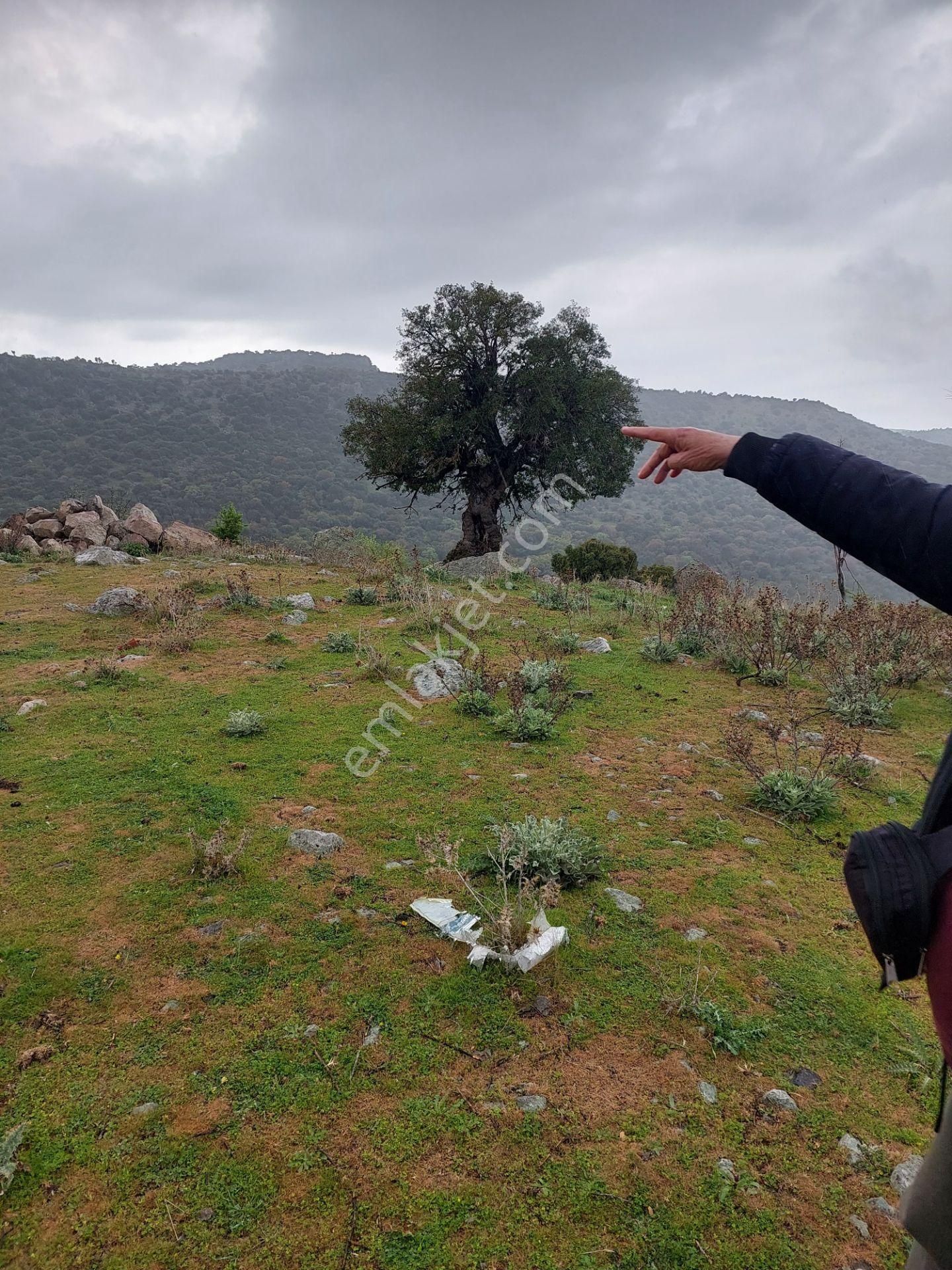 İzmir Dikili Demirtaş Esentepede Manzara Muhteşem Satılık 1050m2 Arsa - Görsel 8