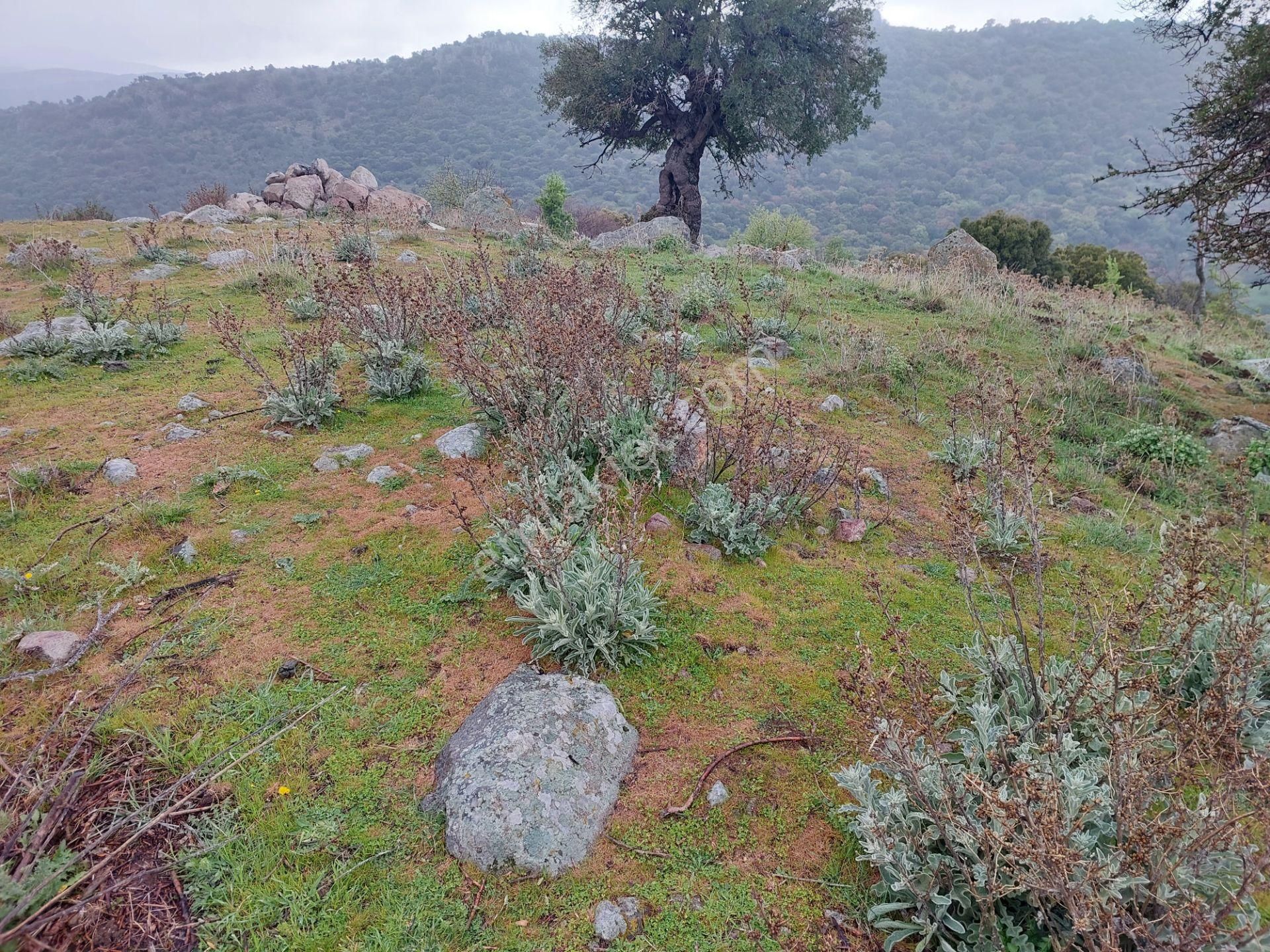 İzmir Dikili Demirtaş Esentepede Manzara Muhteşem Satılık 1050m2 Arsa - Görsel 12