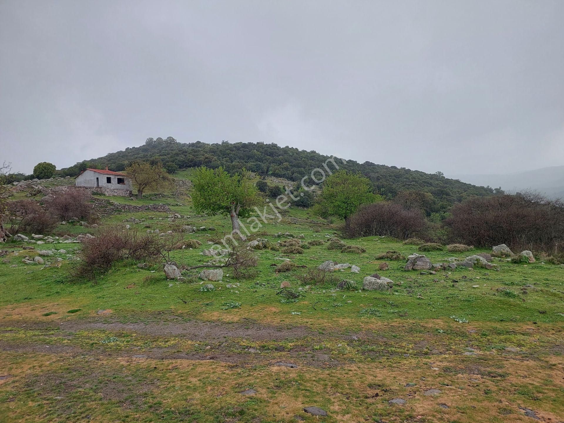 İzmir Dikili Demirtaş Esentepede Manzara Muhteşem Satılık 1050m2 Arsa - Görsel 17