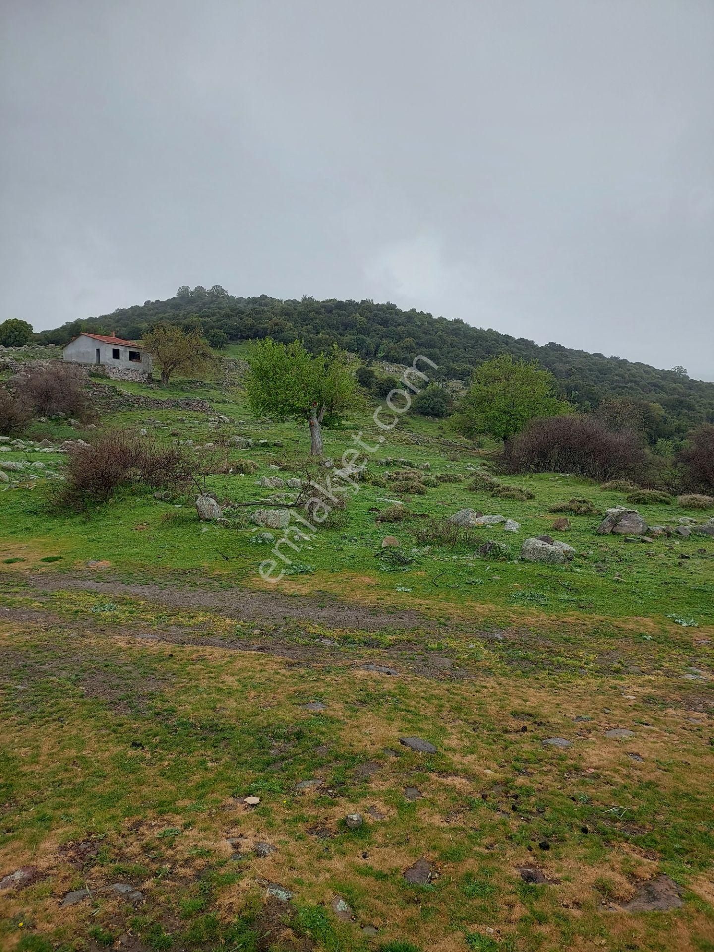 İzmir Dikili Demirtaş Esentepede Manzara Muhteşem Satılık 1050m2 Arsa - Görsel 9