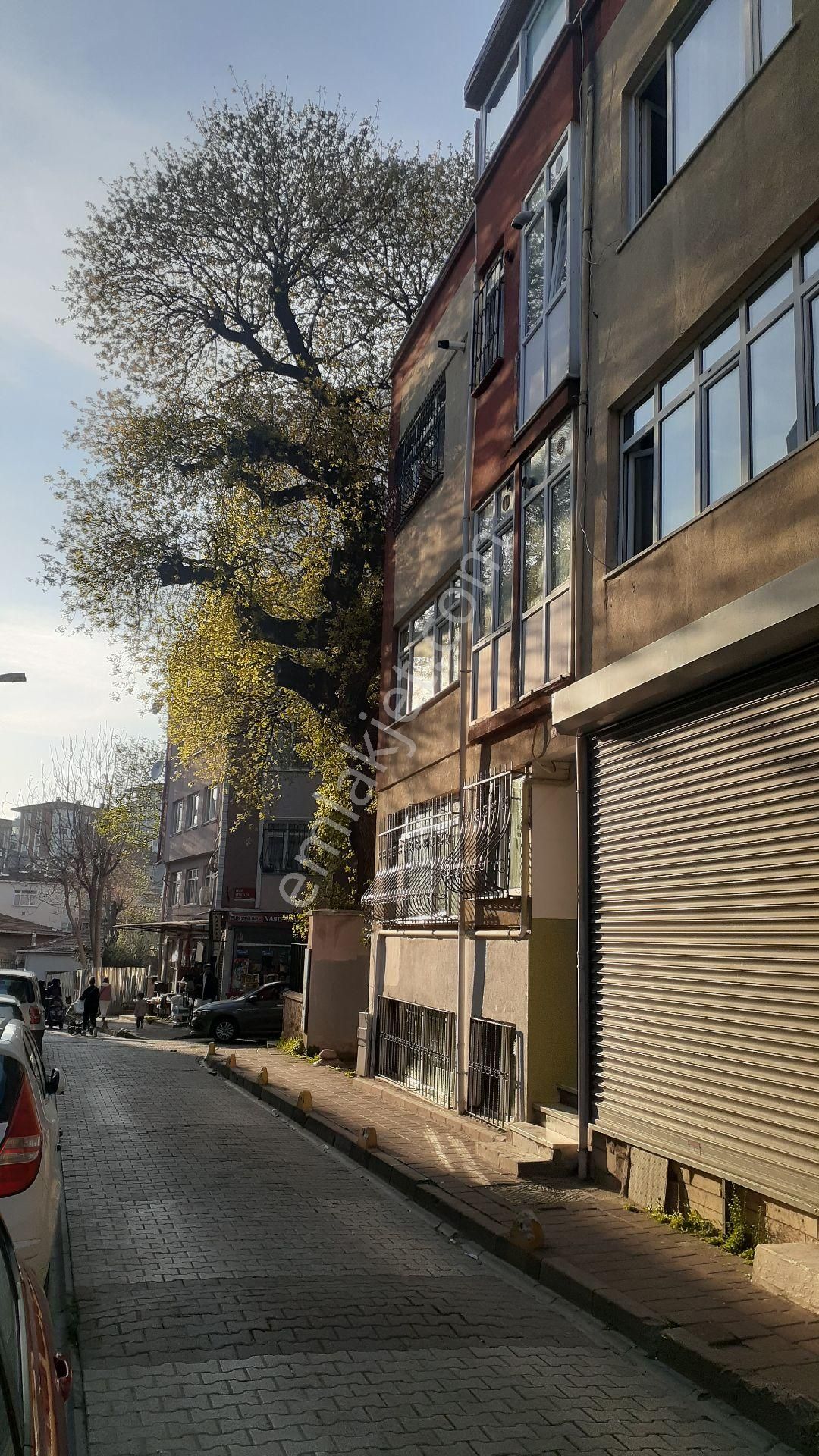 Fatih Kocamustafapaşa Sümbülefendi Yedişehitler De Geniş Bahçekatı.. - Görsel 26