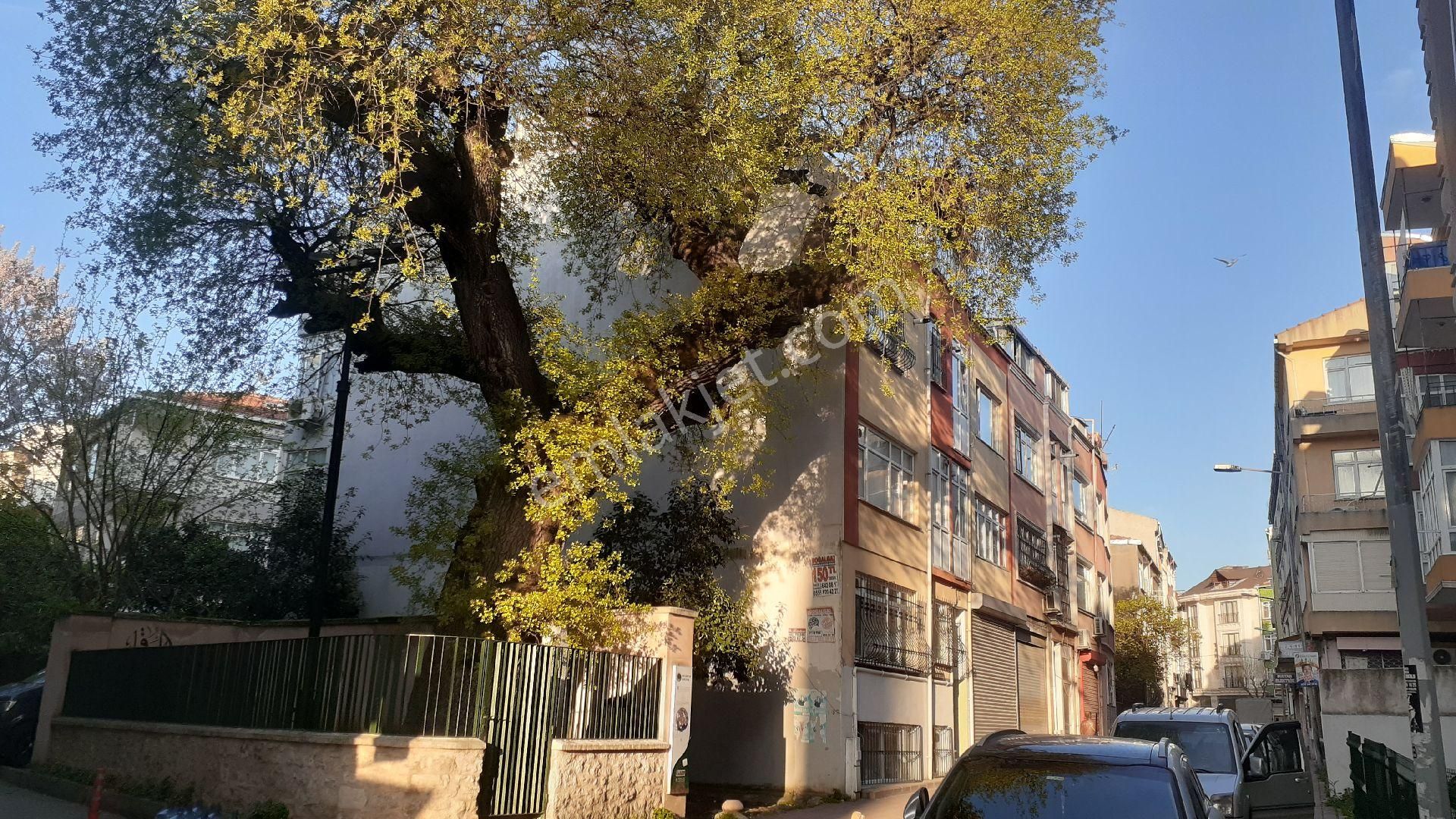 Fatih Kocamustafapaşa Sümbülefendi Yedişehitler De Geniş Bahçekatı.. - Görsel 2