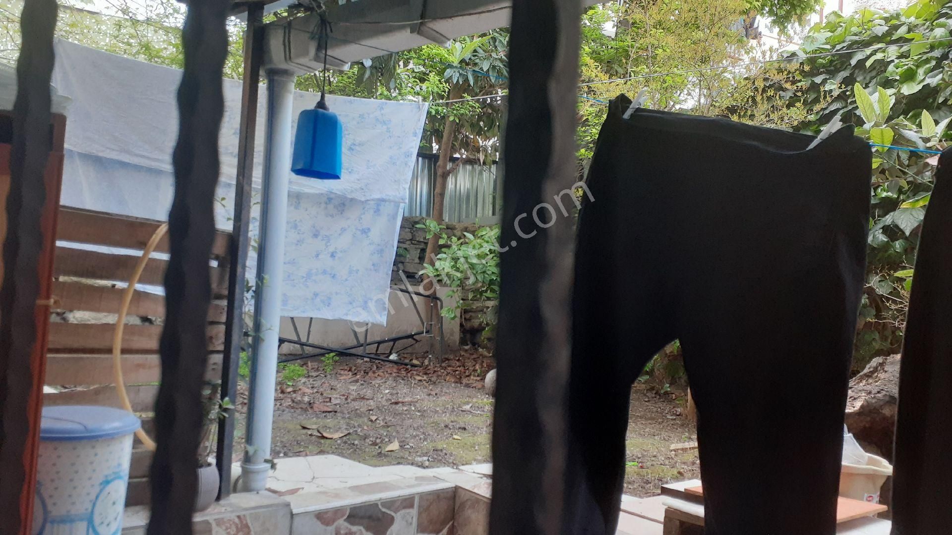 Fatih Kocamustafapaşa Sümbülefendi Yedişehitler De Geniş Bahçekatı.. - Görsel 15