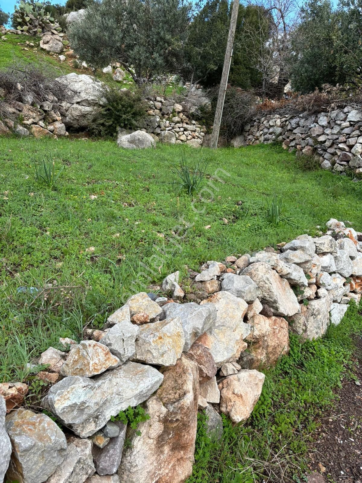Marmaris Söğüt'de Denize 750m Mesafede 126m2 Tarla - Görsel 2