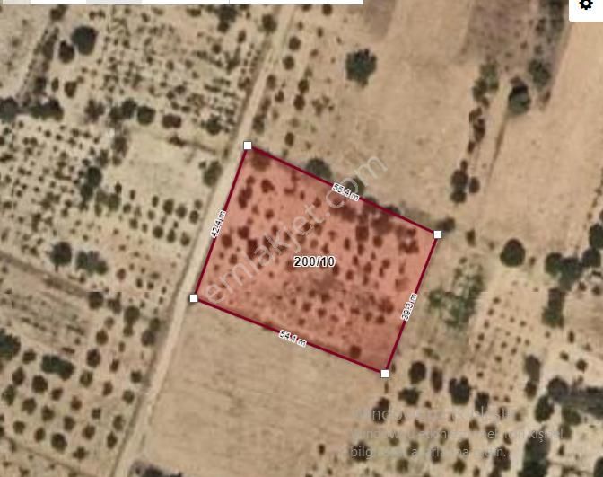 Özpınar ,dan Kavak M. Satılık Bağ-bahçe 2234 M2 Beyşehir Yoluna 220 M.yolu Var. - Görsel 6